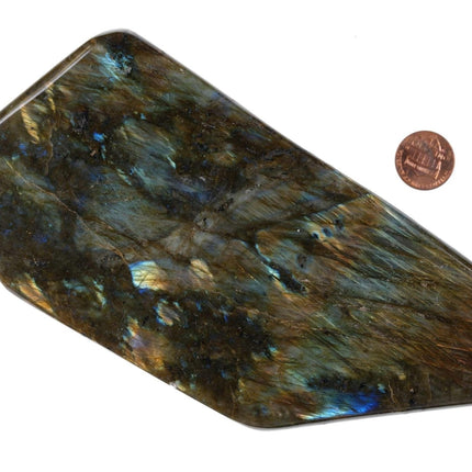 1329 Gram Labradorite Specimen - Estate Fresh Austin