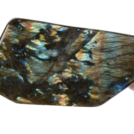 1329 Gram Labradorite Specimen - Estate Fresh Austin