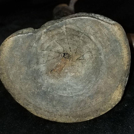 18th Century Spiraled Iron Candlestick and a 1700's Iron Wall Candle Spike - Estate Fresh Austin