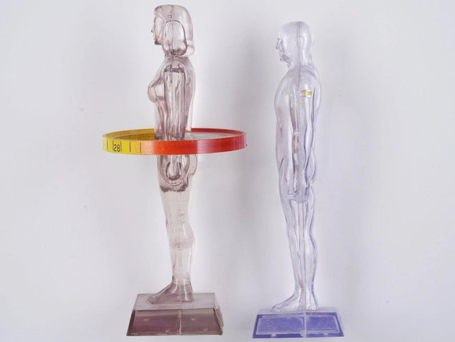 1950's-60's Merck Diuril medical model promotional paperweights - Estate Fresh Austin