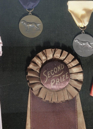 1951 Field Dog Trials Bird Dog Ribbons/Medals from New Jerser/ Pennsylva - Estate Fresh Austin