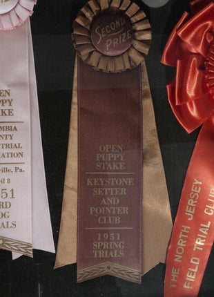 1951 Field Dog Trials Bird Dog Ribbons/Medals from New Jerser/ Pennsylva - Estate Fresh Austin