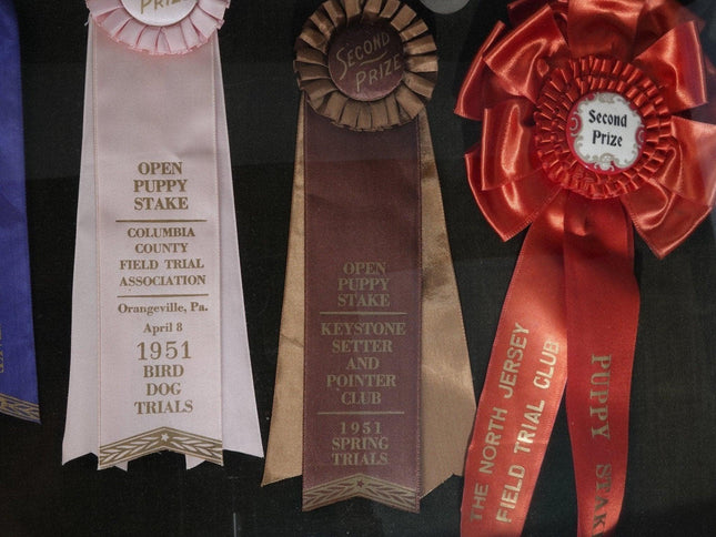 1951 Field Dog Trials Bird Dog Ribbons/Medals from New Jerser/ Pennsylva - Estate Fresh Austin