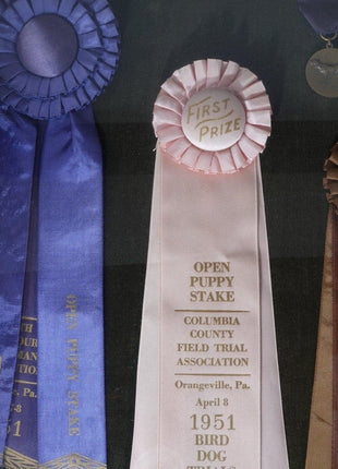 1951 Field Dog Trials Bird Dog Ribbons/Medals from New Jerser/ Pennsylva - Estate Fresh Austin