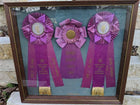 1964 Santa Rosa Roundup and Livestock Exposition Ribbons in Shadowbox Frame 20.5 - Estate Fresh Austin