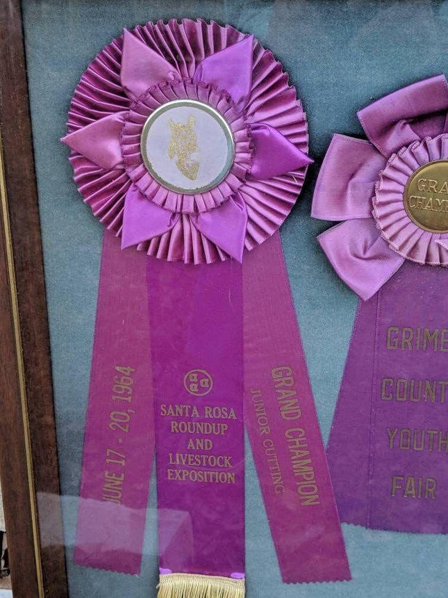 1964 Santa Rosa Roundup and Livestock Exposition Ribbons in Shadowbox Frame 20.5 - Estate Fresh Austin