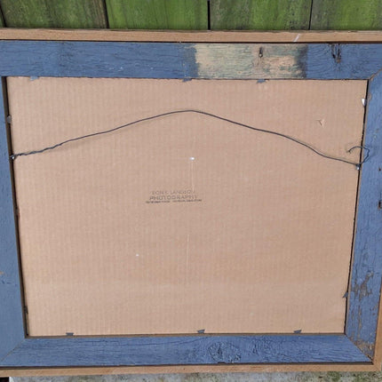 1970's Don K. Langson Wildlife Texas Buck Frontier Photograph 16"x20" - Estate Fresh Austin