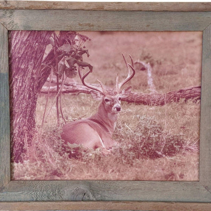 1970's Don K. Langson Wildlife Texas Buck Frontier Photograph 16"x20" - Estate Fresh Austin