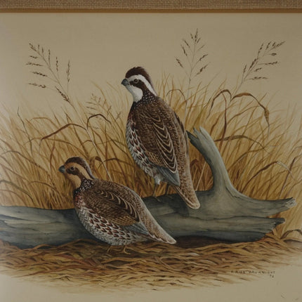 1972 E Rice Bauknight Watercolor Quail Texas Landscape Wildlife Artist - Estate Fresh Austin