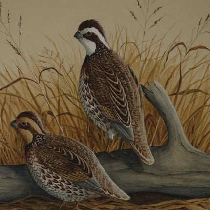 1972 E Rice Bauknight Watercolor Quail Texas Landscape Wildlife Artist - Estate Fresh Austin