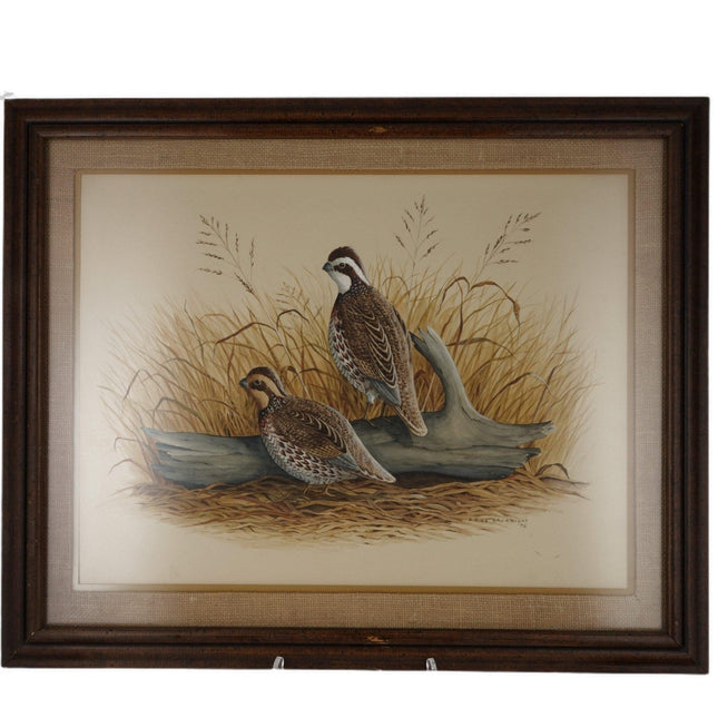 1972 E Rice Bauknight Watercolor Quail Texas Landscape Wildlife Artist - Estate Fresh Austin