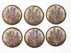6 Meiji Japanese Satsuma Buttons 1 3/16
