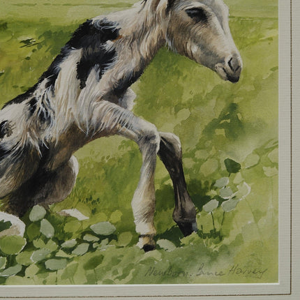 Bruce Harvey New Zealand artist "NEWBORN" Baby Goat Painting Tempura and Waterco