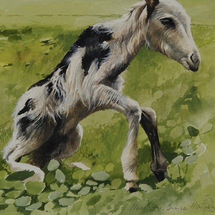 Bruce Harvey New Zealand artist "NEWBORN" Baby Goat Painting Tempura and Waterco