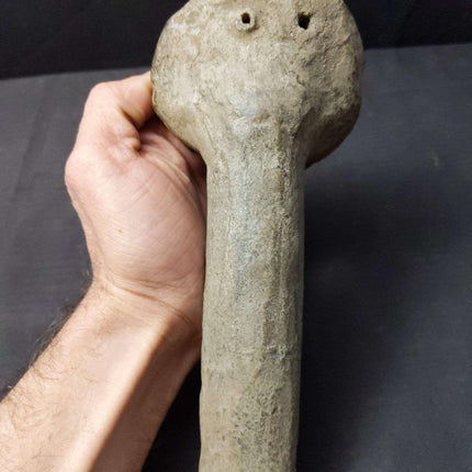 Pre Columbian Pottery Whistle Noise Maker