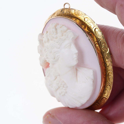 Large Antique 10k gold High Relief Conch Shell cameo pendant/brooch