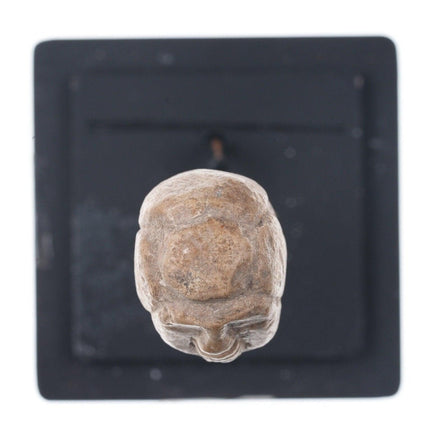 Alter Votivkopf aus geschnitztem Marmor, Alexandrian, Ägypten