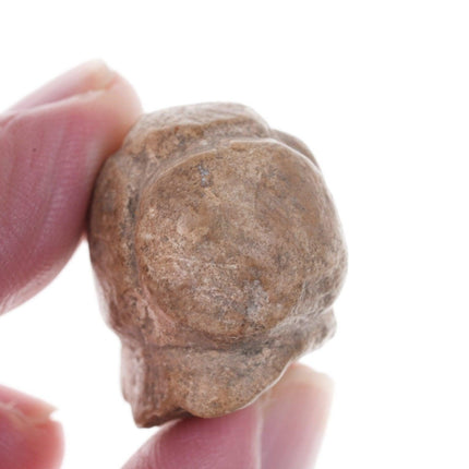 Ancient Carved Marble Votive Head, Alexandrian, Egypt