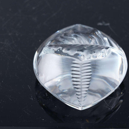 French Lalique crystal paperweight