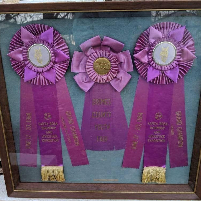 1964 Santa Rosa Roundup and Livestock Exposition Ribbons in Shadowbox Frame 20.5