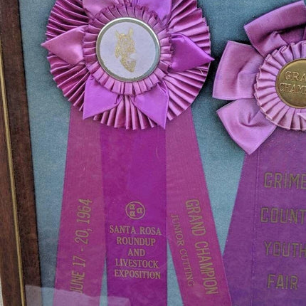 1964 Santa Rosa Roundup and Livestock Exposition Ribbons in Shadowbox Frame 20.5