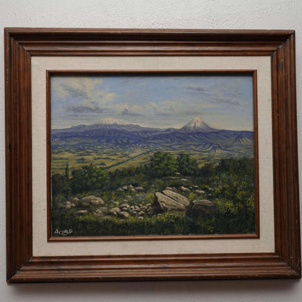 c1980 Mexican Landscape Oil on Canvas with Incredible Detail