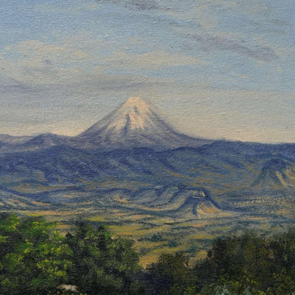 c1980 Mexican Landscape Oil on Canvas with Incredible Detail