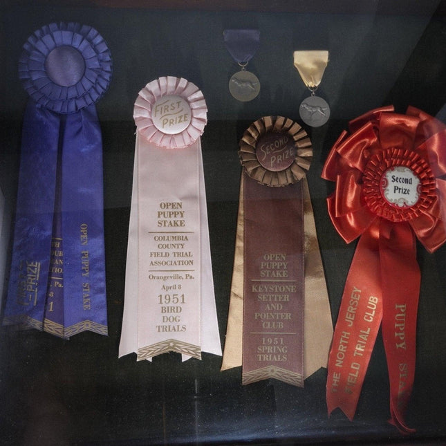 1951 Field Dog Trials Bird Dog  Ribbons/Medals from New Jerser/ Pennsylva