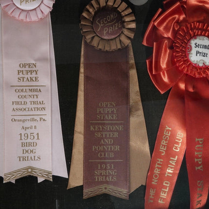 1951 Field Dog Trials Bird Dog Hunting Ribbons/Medaillen vom New Jerser/Pennsylvania Keystone Setter and Pointer Club