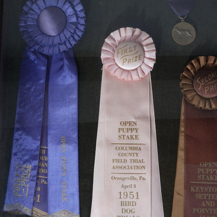 1951 Field Dog Trials Bird Dog Hunting Ribbons/Medaillen vom New Jerser/Pennsylvania Keystone Setter and Pointer Club