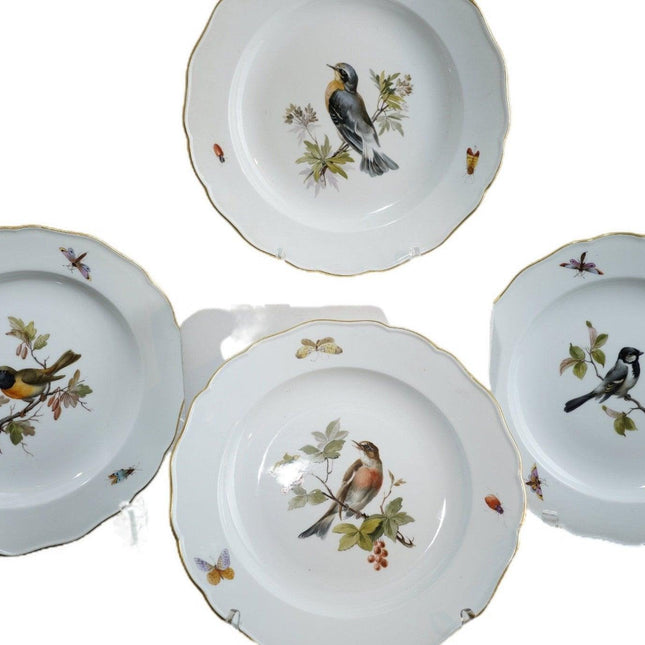 4 Antique Meissen Birds with Insects dinner plates