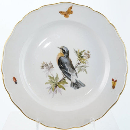 4 Antique Meissen Birds with Insects dinner plates