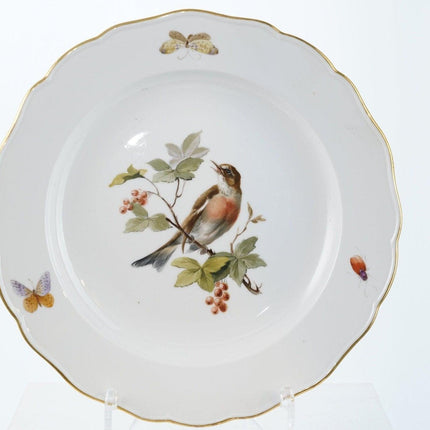 4 Antique Meissen Birds with Insects dinner plates