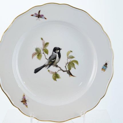 4 Antique Meissen Birds with Insects dinner plates