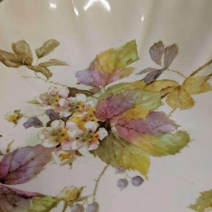 c1884 Royal Doulton Botanical Desert Serving pieces 2 pc