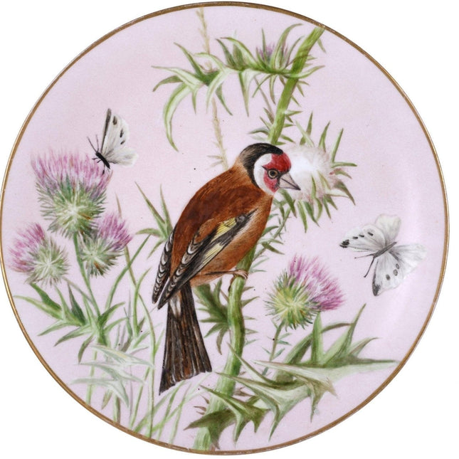 c1870 英国博德利瓷手绘鸟蝴蝶盘