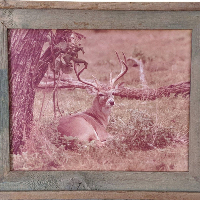 1970's Don K. Langson Wildlife Texas Buck Frontier Photograph 16"x20"