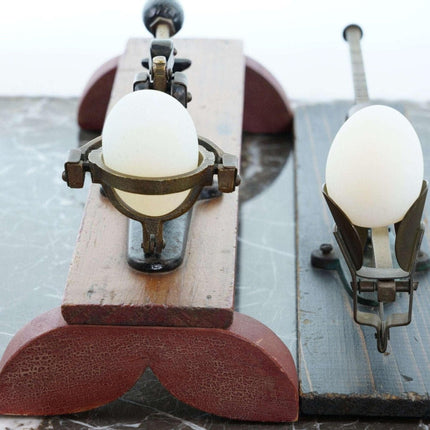 c1900 Reliable Egg Scales Los Angeles California made