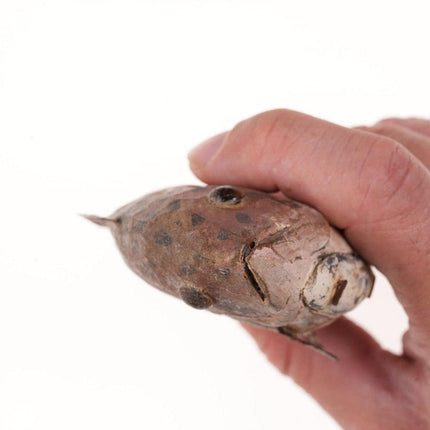Antiker amerikanischer Lockvogel zum Eisfischen. Geschnitztes Holz, bemalte Zinnflossen, Glasaugen