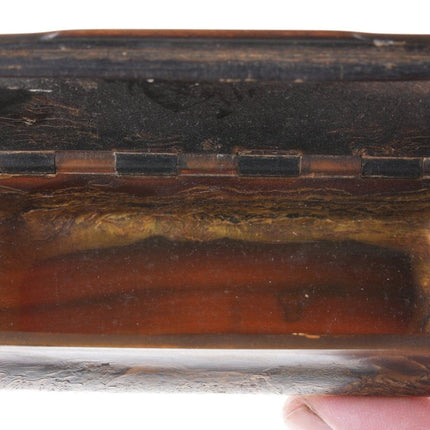 18th/19th century Tortoise shell and horn snuff box