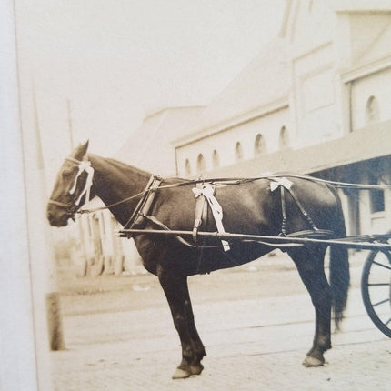 AFD Austin Texas Fire Department Chief Originalfoto 6 7/8" x 5 1/8" Kutsche mit Pferd, Ende des 19. Jahrhunderts, 7" x 9" Papier