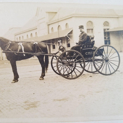 AFD Austin Texas Fire Department Chief Originalfoto 6 7/8" x 5 1/8" Kutsche mit Pferd, Ende des 19. Jahrhunderts, 7" x 9" Papier