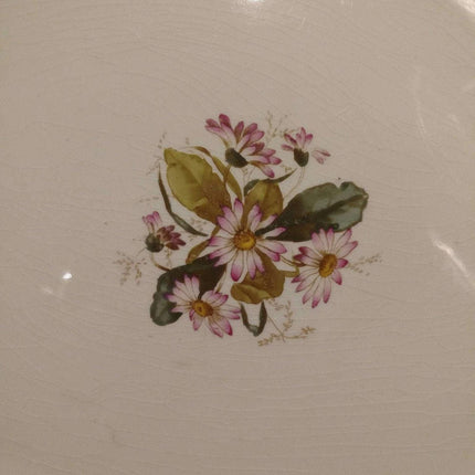 George Jones Daisy Chain Transferware mit handbemalter Dekoration 17,75" x 14,25" Platte um 1886