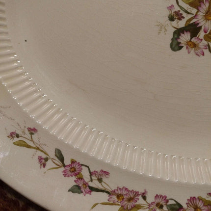 George Jones Daisy Chain Transferware mit handbemalter Dekoration 17,75" x 14,25" Platte um 1886