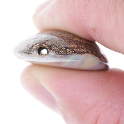 56.5ct Boulder Opal drilled pendant/bead