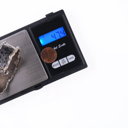 6.75" Southwestern Artisan sterling Ammonite fossil bracelet - Estate Fresh Austin