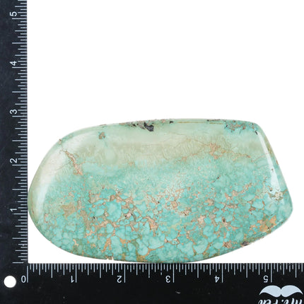 785.15 Carat Large Natural American turquoise cabochon - Estate Fresh Austin