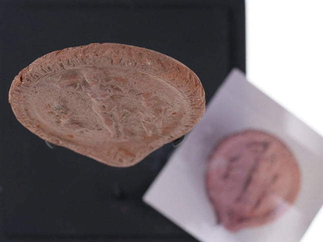 Ancient Roman Terracotta Jewelry mold or Votive offering - Estate Fresh Austin