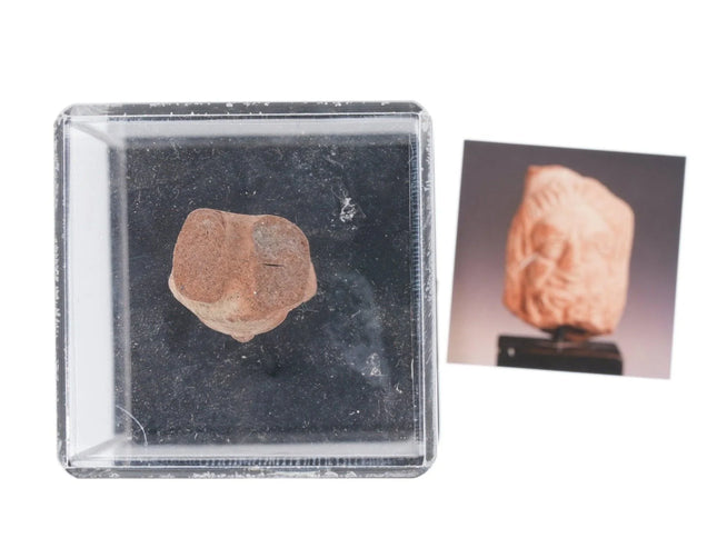 Ancient Roman Terracotta Votive head - Estate Fresh Austin