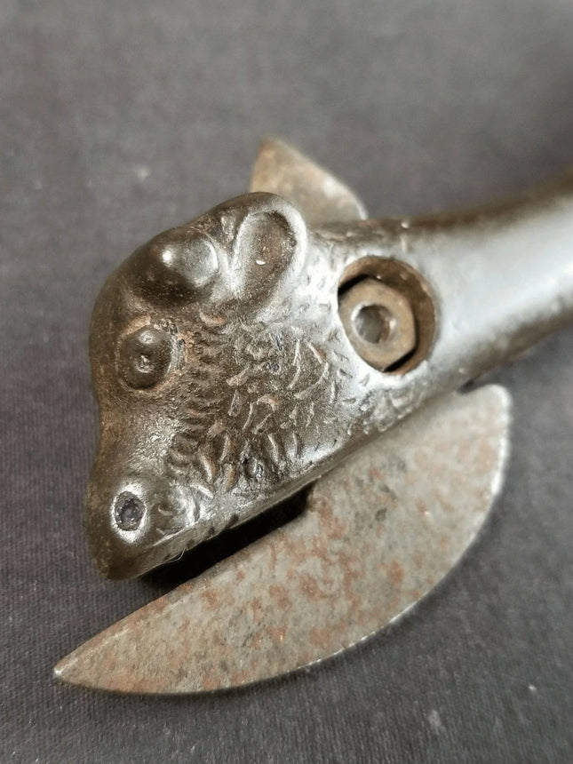 Antique Bull Can Opener Dairy Farm 19th century Original - Estate Fresh Austin